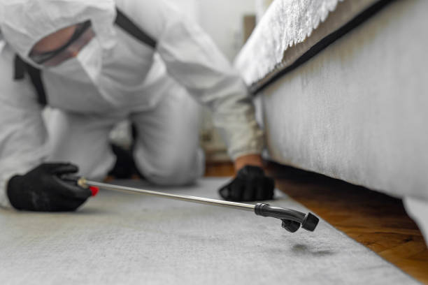Professional Bed Bug Control technician working in Candler County County, GA